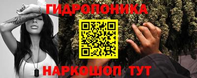 дмт Бузулук